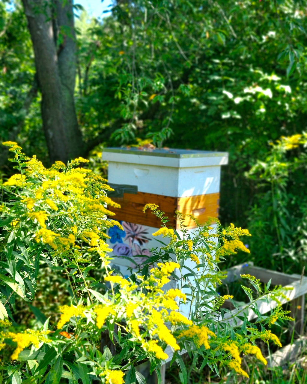 Raw Honey